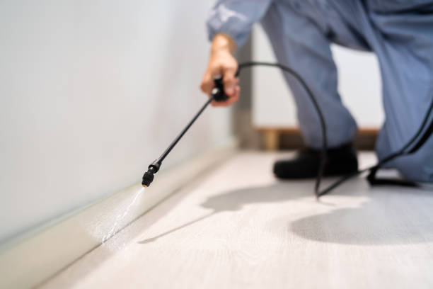 Licensed Pest Control service in Westville, OK - Show Me Pest Control